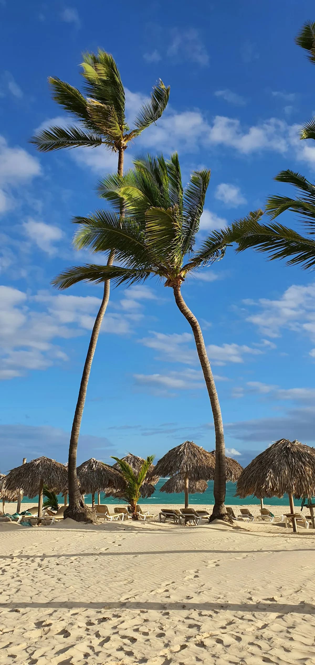 Playa de arena blanca en Punta Cana